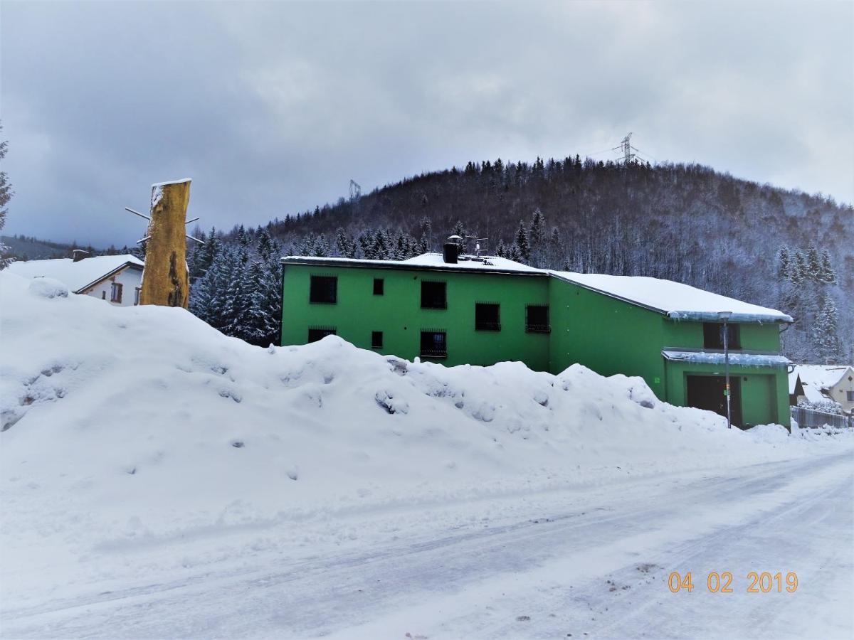 Apartmanovy Dum Pastak Loučná nad Desnou Exterior foto